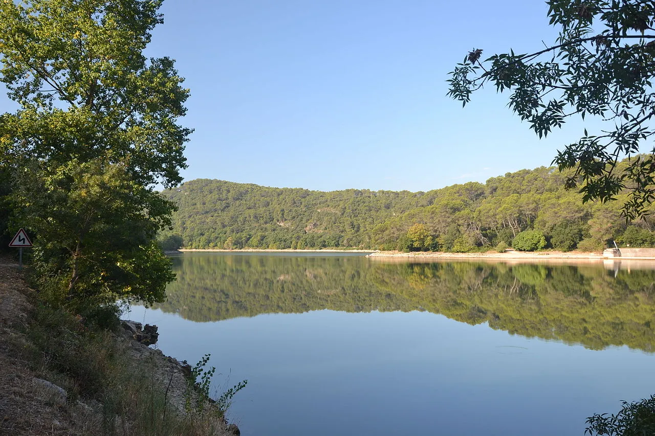 Lac de Carcès : baignade, pêche et balade — guide 2026