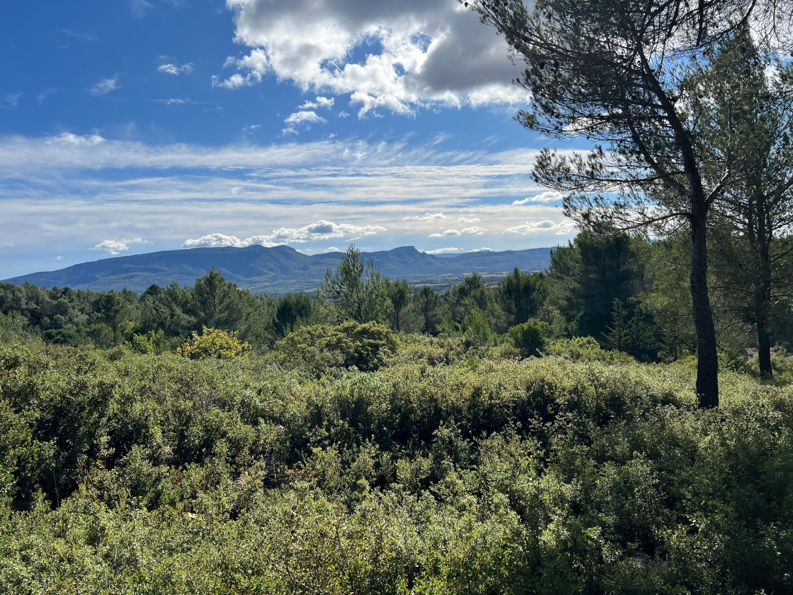 découvrez le guide 2025 pour visiter pourrières en provence : conseils, incontournables et astuces pour un séjour réussi au cœur de la provence authentique.