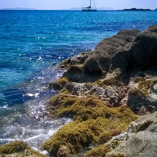 découvrez la plage de la fossette au lavandou, un lieu idyllique pour profiter du soleil, de la mer méditerranée et de paysages naturels préservés.