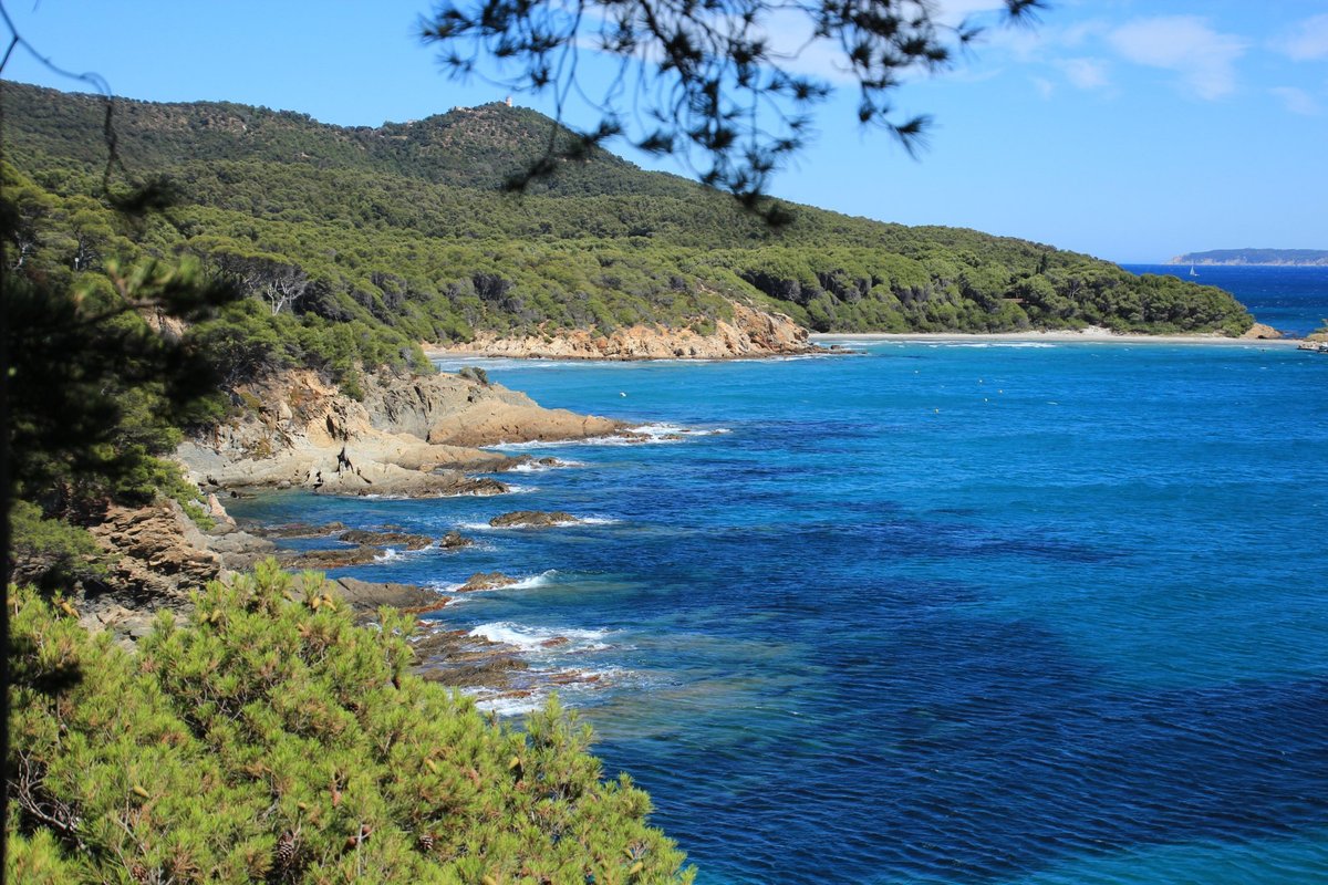 découvrez les incontournables de bormes-les-mimosas en 2025 : plages, nature et charme authentique pour des vacances inoubliables.