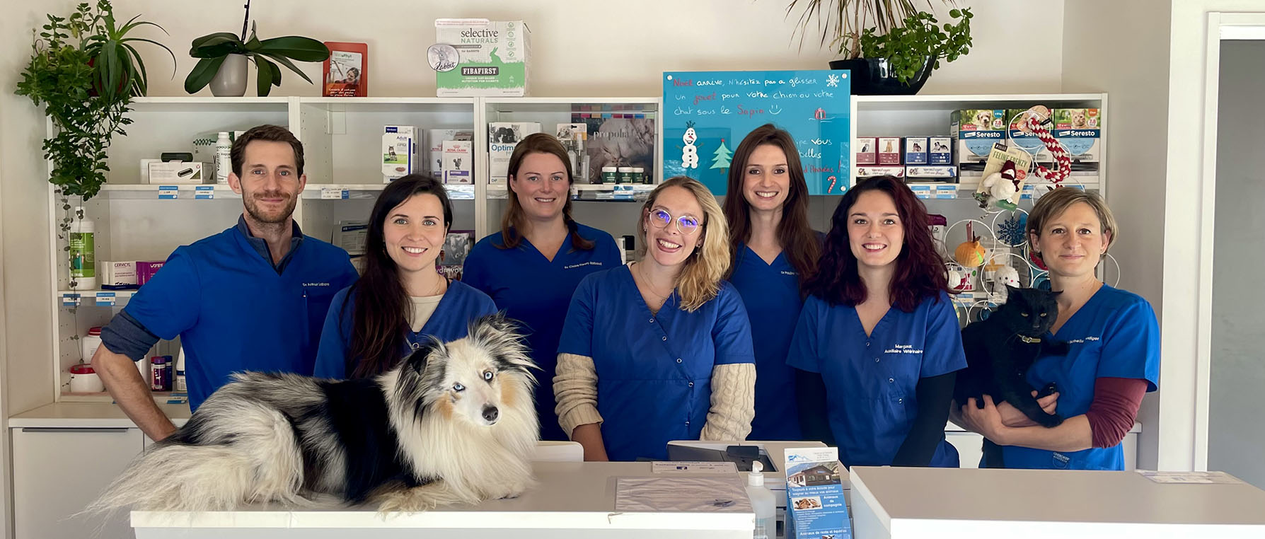 trouvez un vétérinaire fiable à carcès en 2025 pour des soins de qualité à votre animal de compagnie. services vétérinaires professionnels et attentionnés près de chez vous.